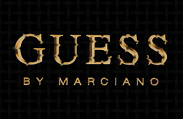 success story guess