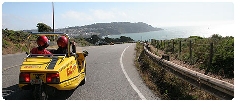 gocartours